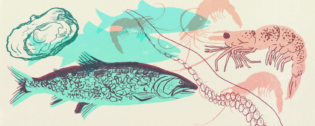 The Rules for Buying Fresh Seafood That You Were Afraid to Ask
