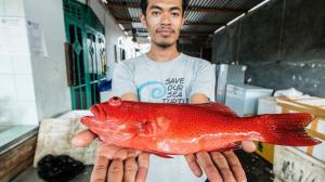 indonesian fishers