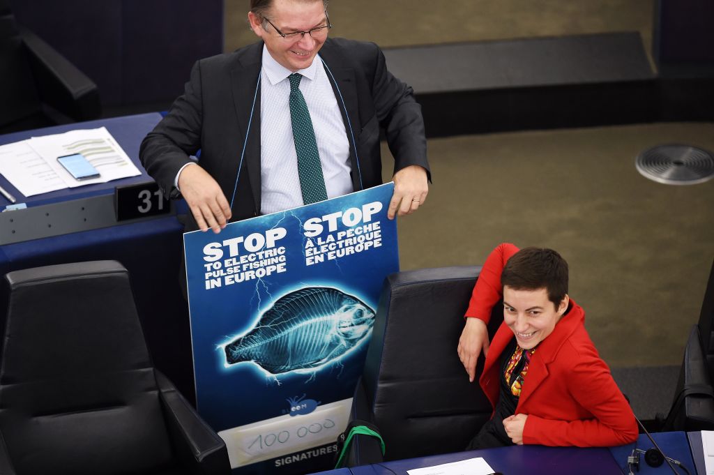 EU Bans Controversial Practice of ‘Pulse Fishing’