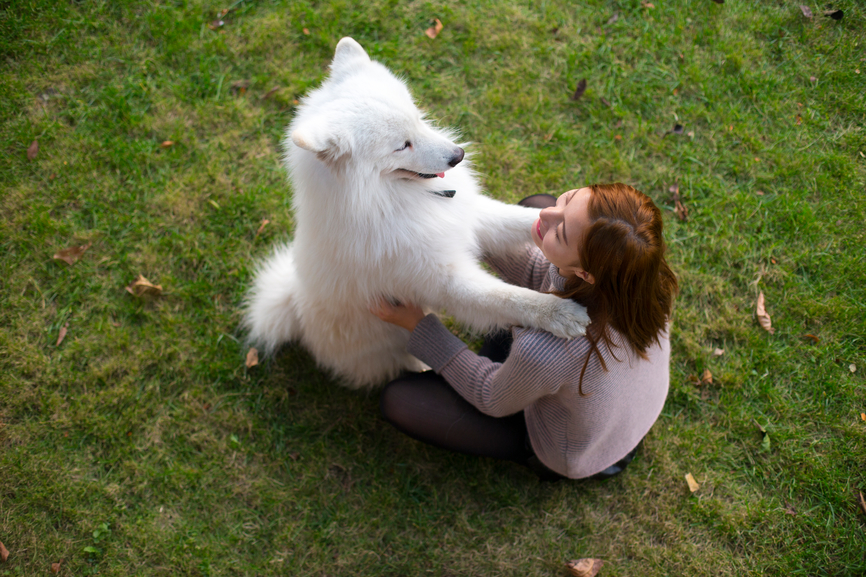 Vrouwen spreken beter hond dan mannen