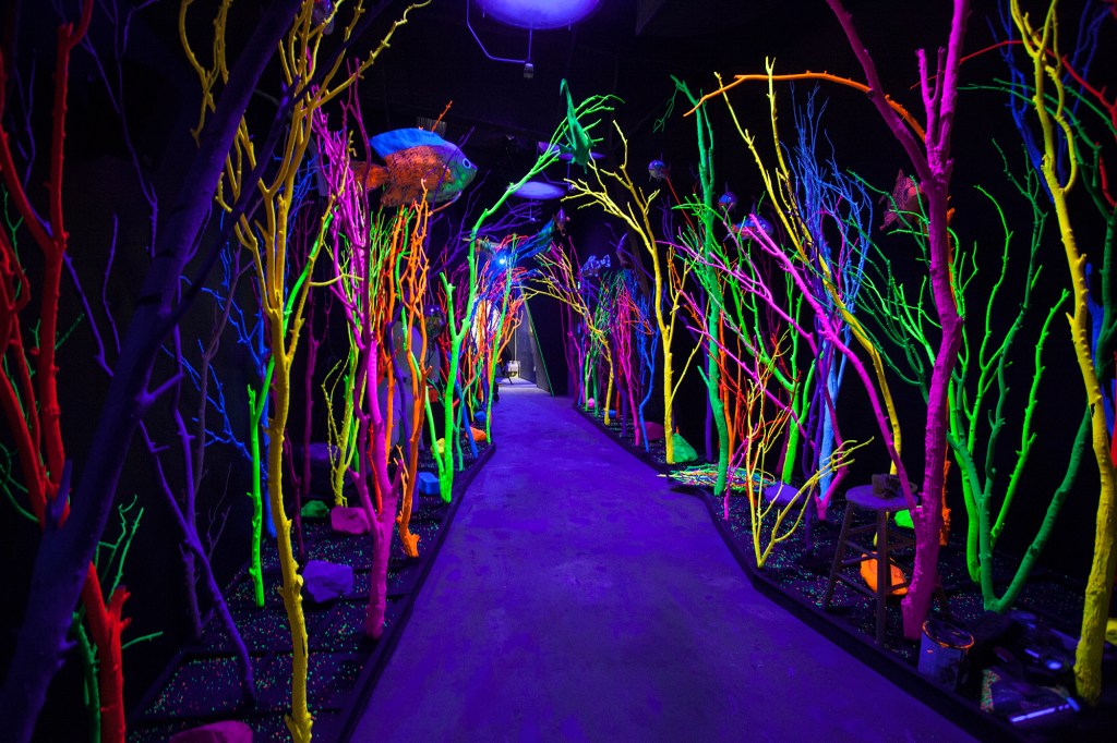 Can a $50 Million Funhouse Save Denver’s DIY Art Scene?