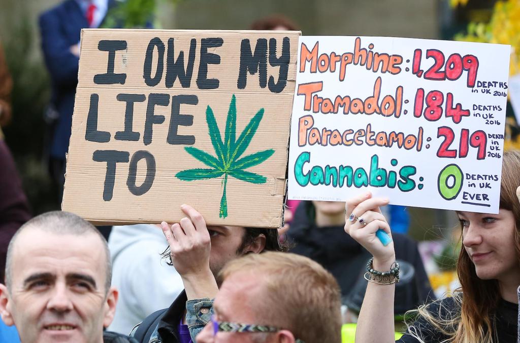 It’s High Time to Legalise Medicinal Cannabis in the UK