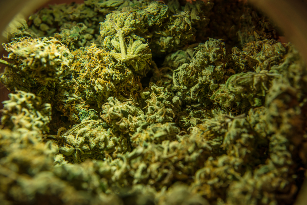 Big Cannabis is Investing in Australia’s Weed Market
