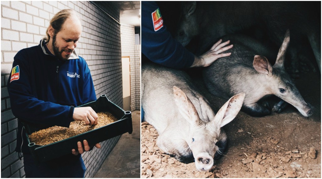 10 întrebări pe care mereu ai vrut să i le pui unui îngrijitor de la zoo