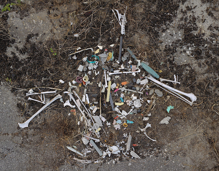 Plastik und Vogelknochen
