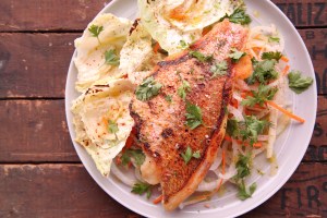 snapper