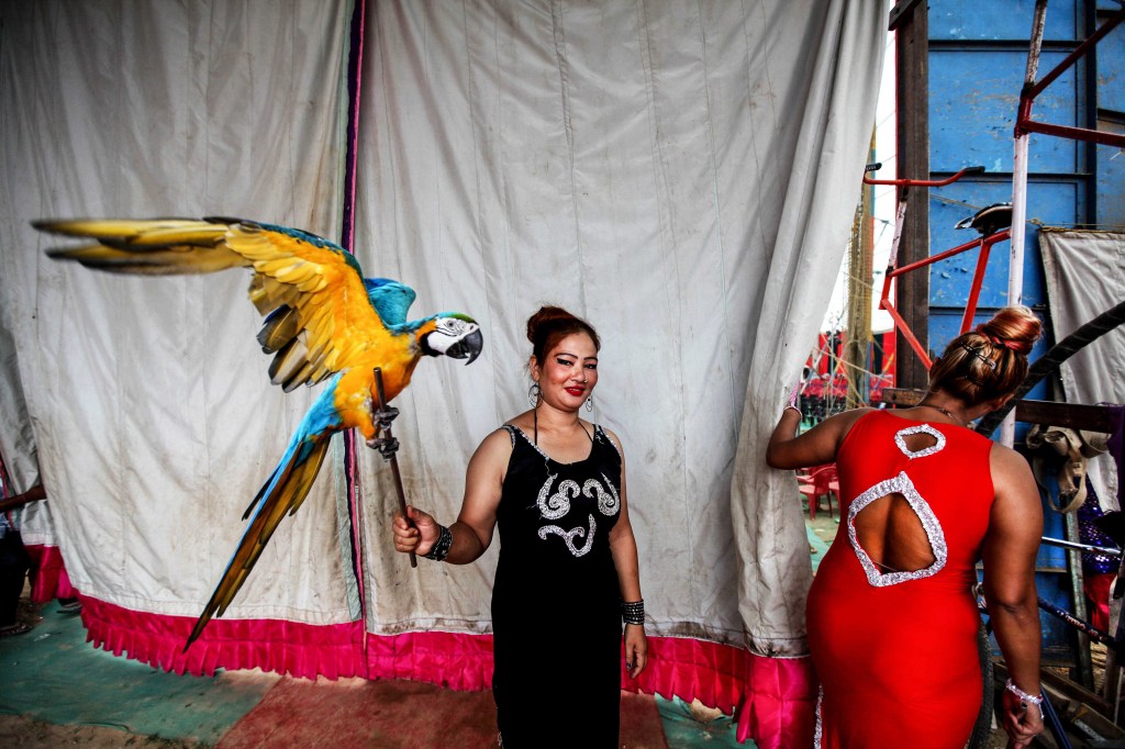 Behind the Scenes at the Asiad Circus