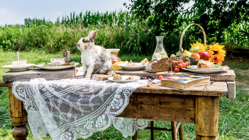 Un libro di ricette vegetariane anni ’30 vi dice che mangiare gli animali è sbagliato perché impuri