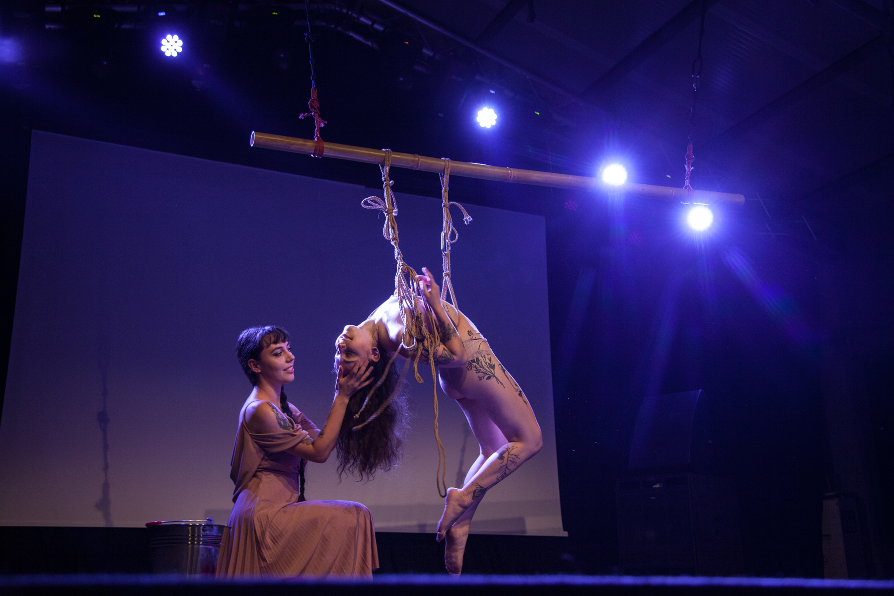 shibari gestalta performance