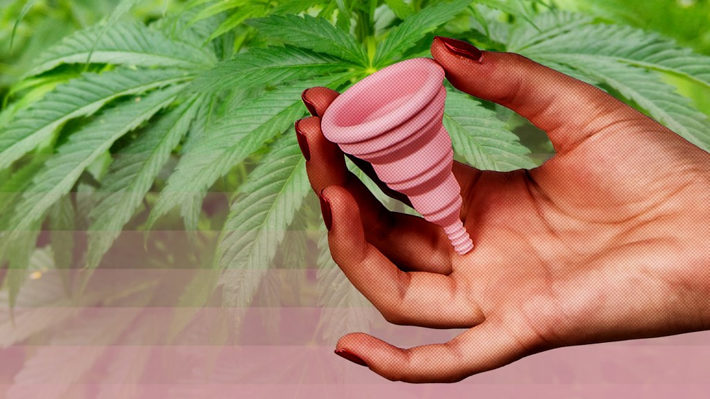 Menstruationscup auf Cannabishintergrund