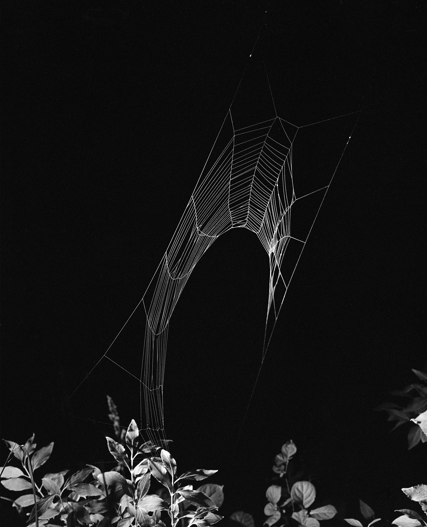 1540493343333-18_Paul_Guilmoth_WEB-SUBMERGED