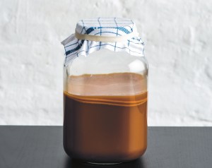 Kombucha al caffè