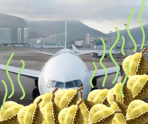 durian plane stink 3