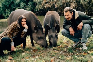 Alligatoah Interview mit Tapir