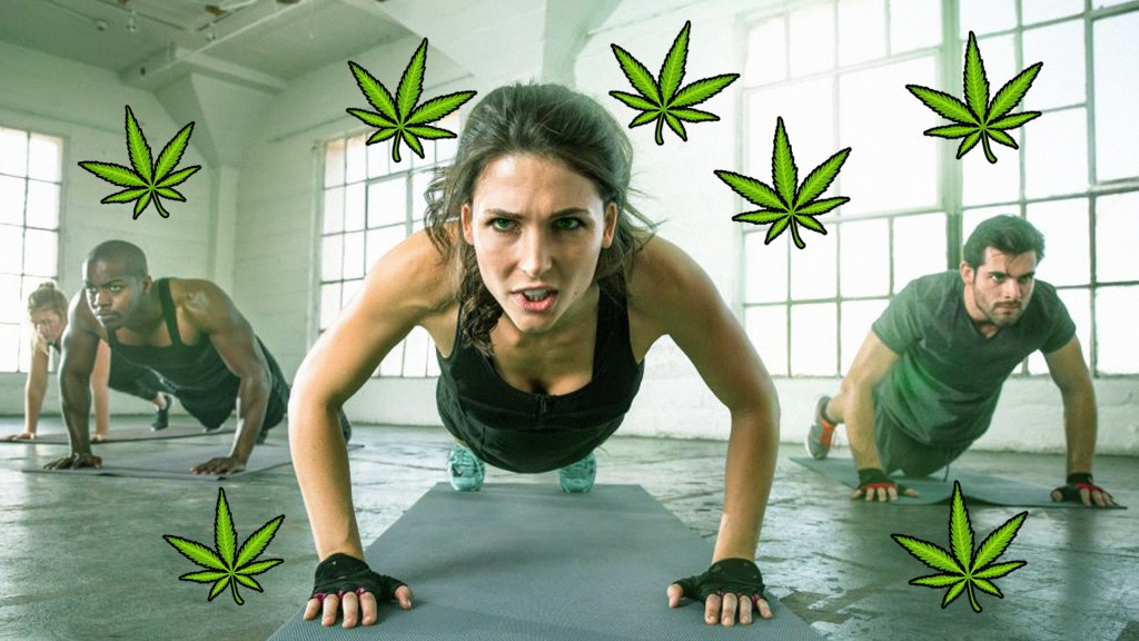 Weed May Play a Role in Weight Loss