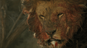Film 'Roar' yang legendaris bikinan Drafthouse Films.
