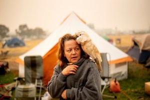 The California wildfires do not discriminate: They’ve torn through some of the state’s wealthiest zip codes — and some of its poorest.