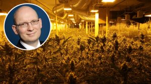 Daniel Heinke und eine Cannabis-Plantage