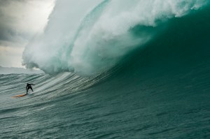 surf