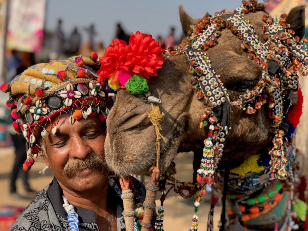I Went to a Massive Camel Beauty Pageant In the Deserts of India