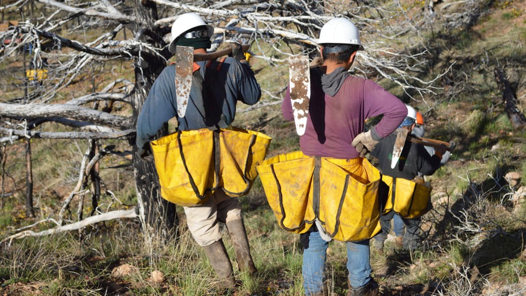 Male Bush Workers Tell Us How They Respond to Sexism in the Industry