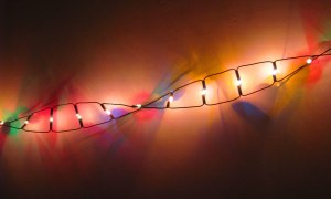 DNA