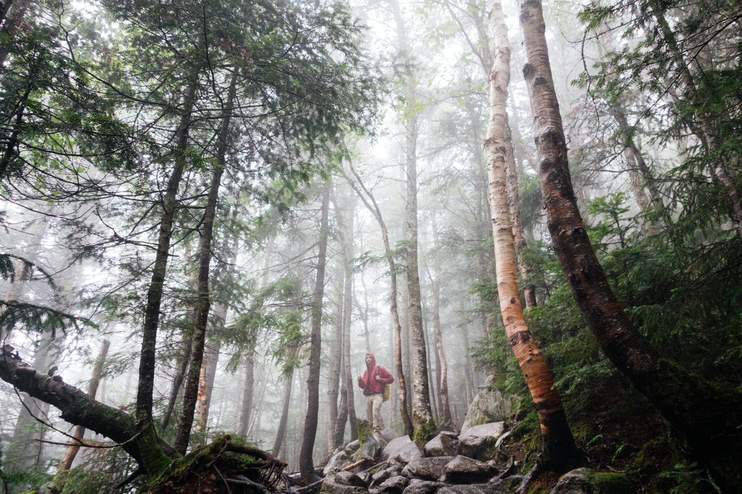 1539096167219-ali-inay-2277-unsplash