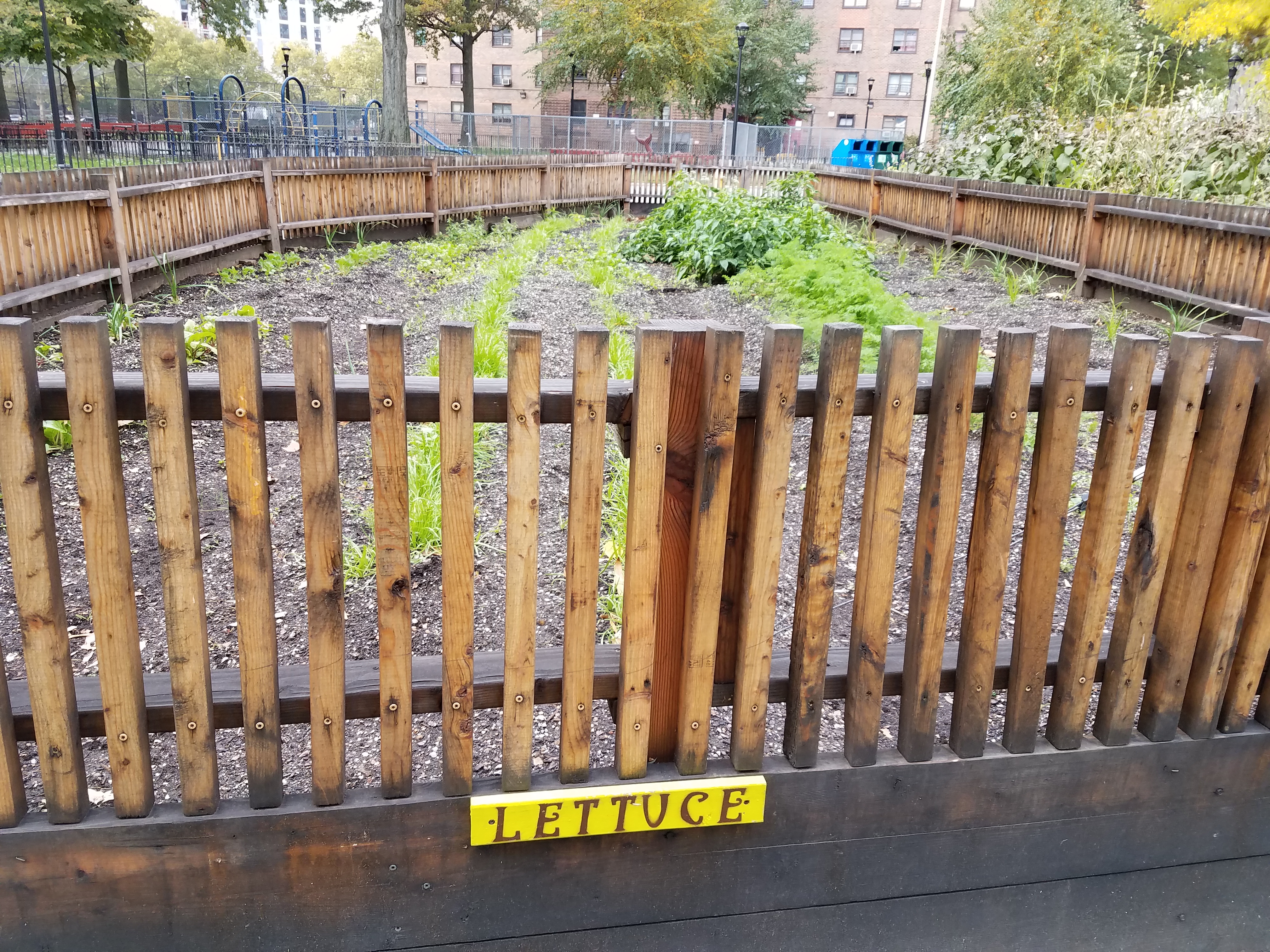 Ein Gemeinschaftsgarten