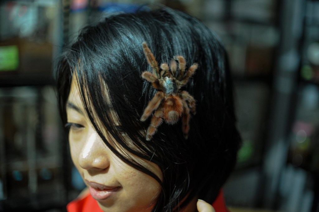 Kami Nongkrong Bersama Ratu Tarantula Indonesia