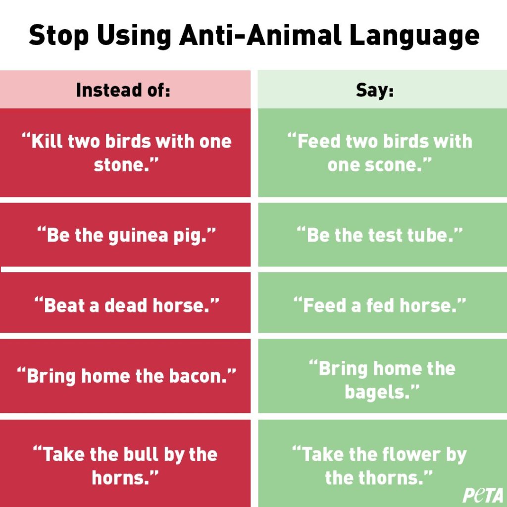 Worst Take of the Week: Don’t Use Anti-Animal Language Vs. Trump’s Best Behaviour