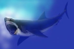 Vue d'artiste du mégalodon. Image : Mary Parrish, Smithsonian Museum of Natural History​