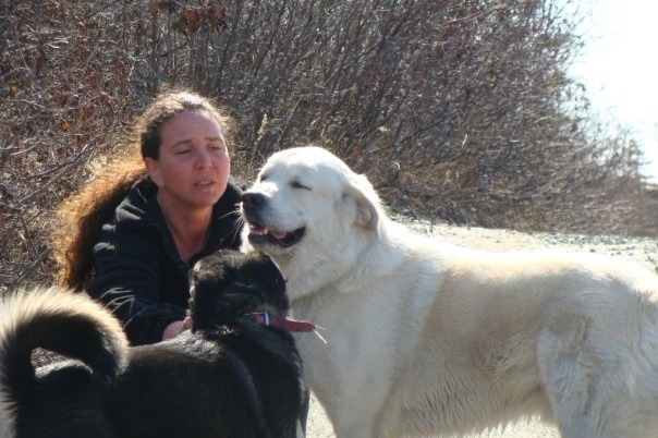 The Yukon Dog Rescuer Who Went Off-Grid to Keep Her 50 Dogs