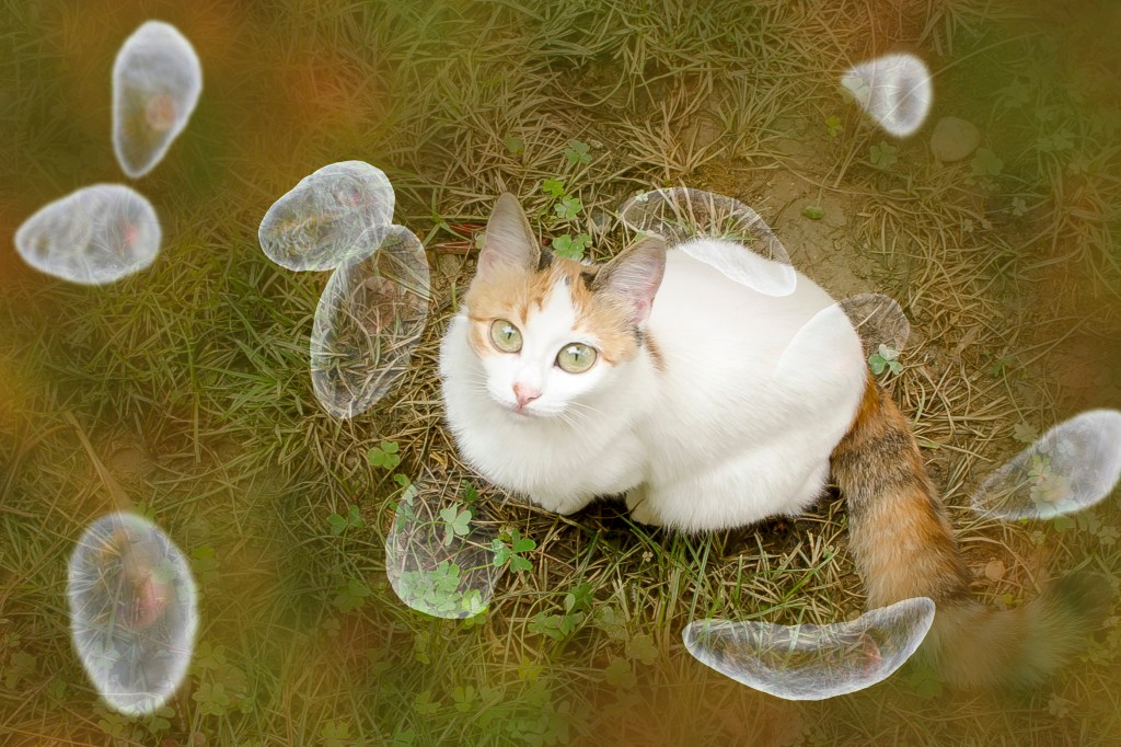 Millions of Americans Have a Parasite and Don’t Realize It