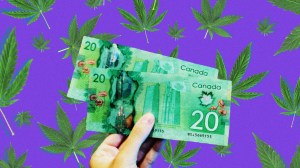 Le commissaire à la protection de la vie privée vous conseille de payer votre weed cash