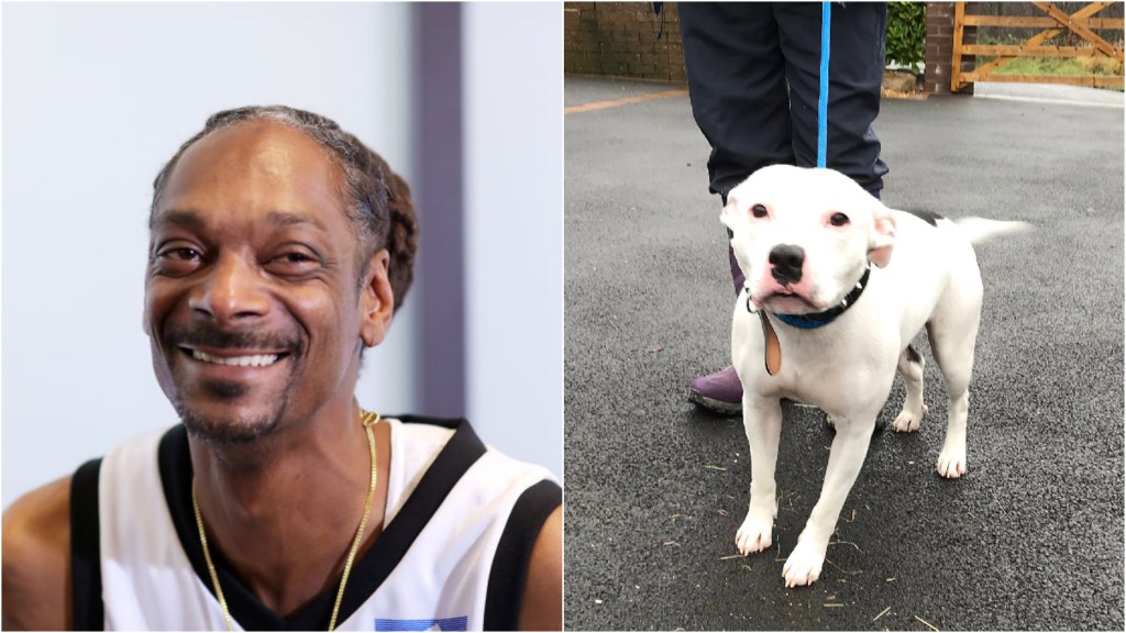 Por favor, dejen que Snoop Dogg adopte a este perro llamado Snoop