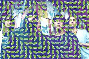animal collective merriweather post pavilion
