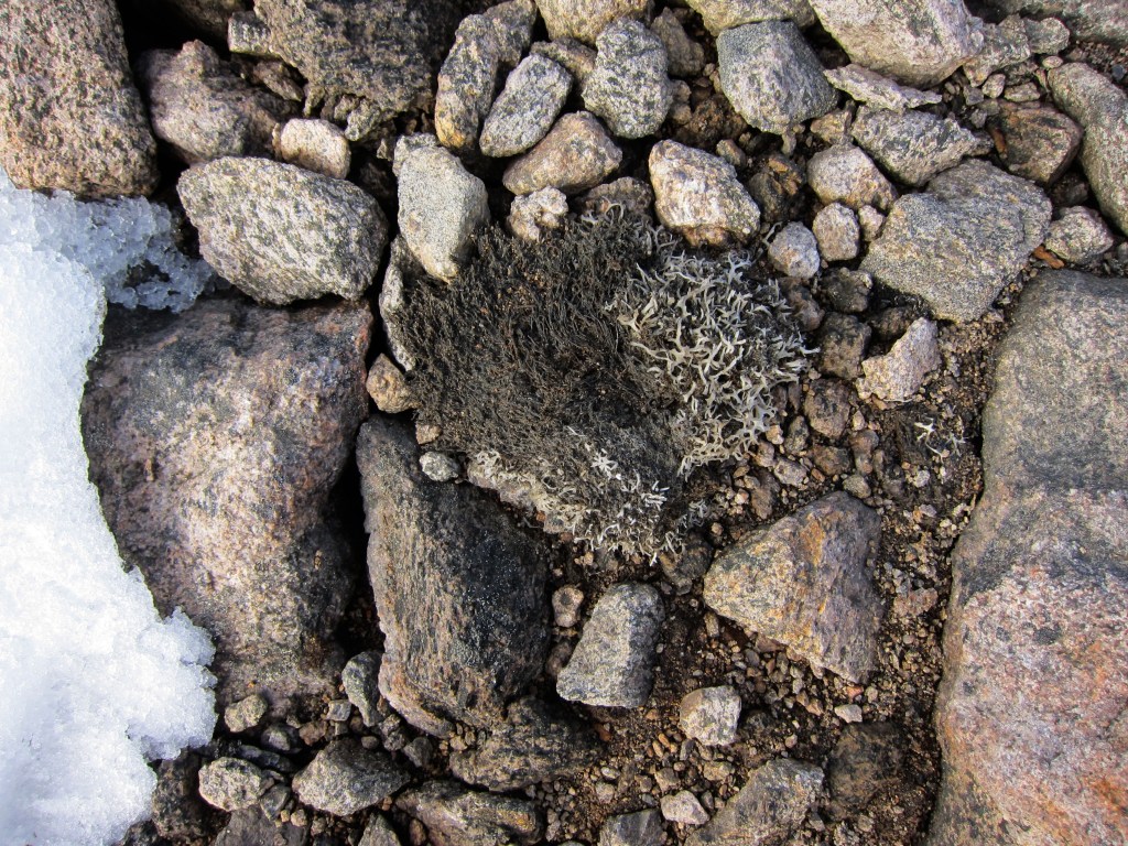 El cambio climático revela paisajes árticos no vistos en 40,000 años
