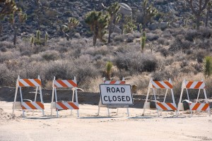 Damages to Joshua Tree National Park From the Shutdown Could Take Centuries to Heal
