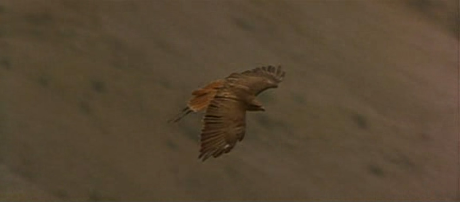 1548925727142-05-crows-zero-still-from-ladyhawke
