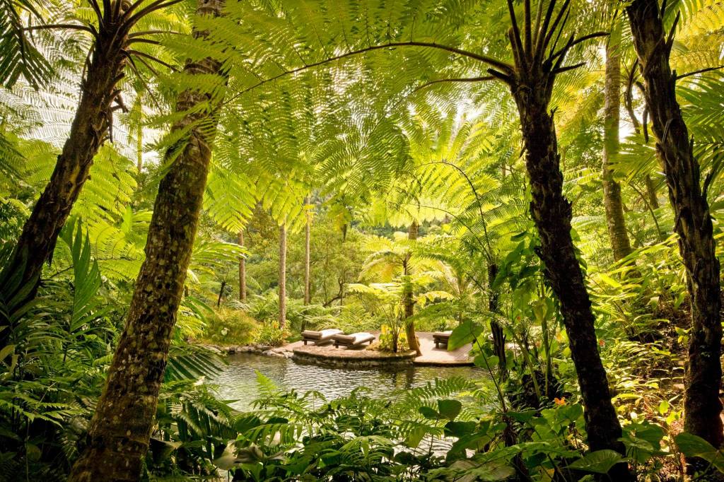 Ayurvedic Treatment | 7 of the Best Retreats Outside India