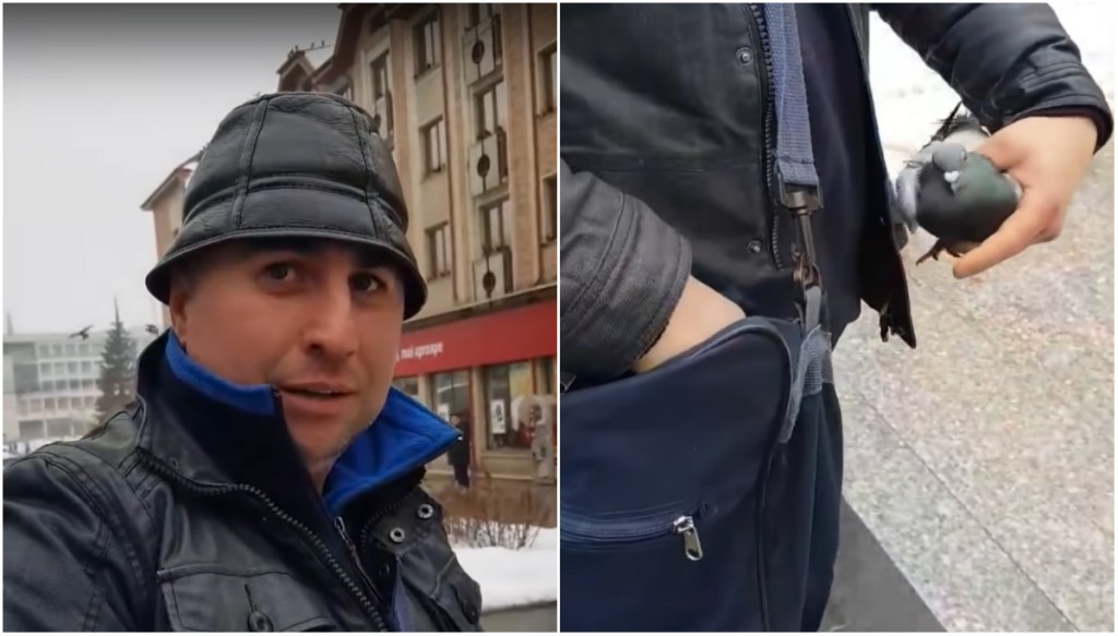 Cinci întrebări pe care le ai despre hoțul de porumbei din Suceava