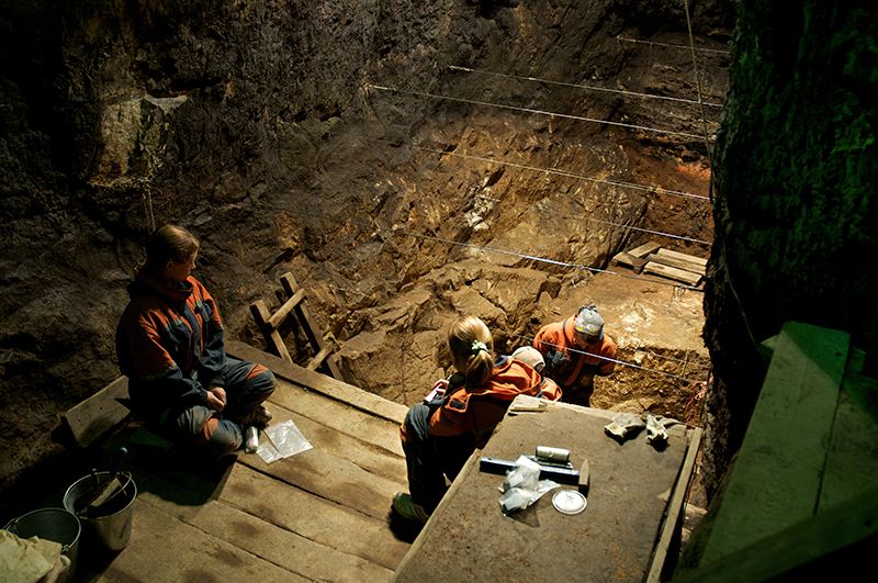 Como cientistas usam a IA para descobrir um ancestral humano desconhecido