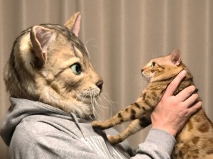 Pet mask