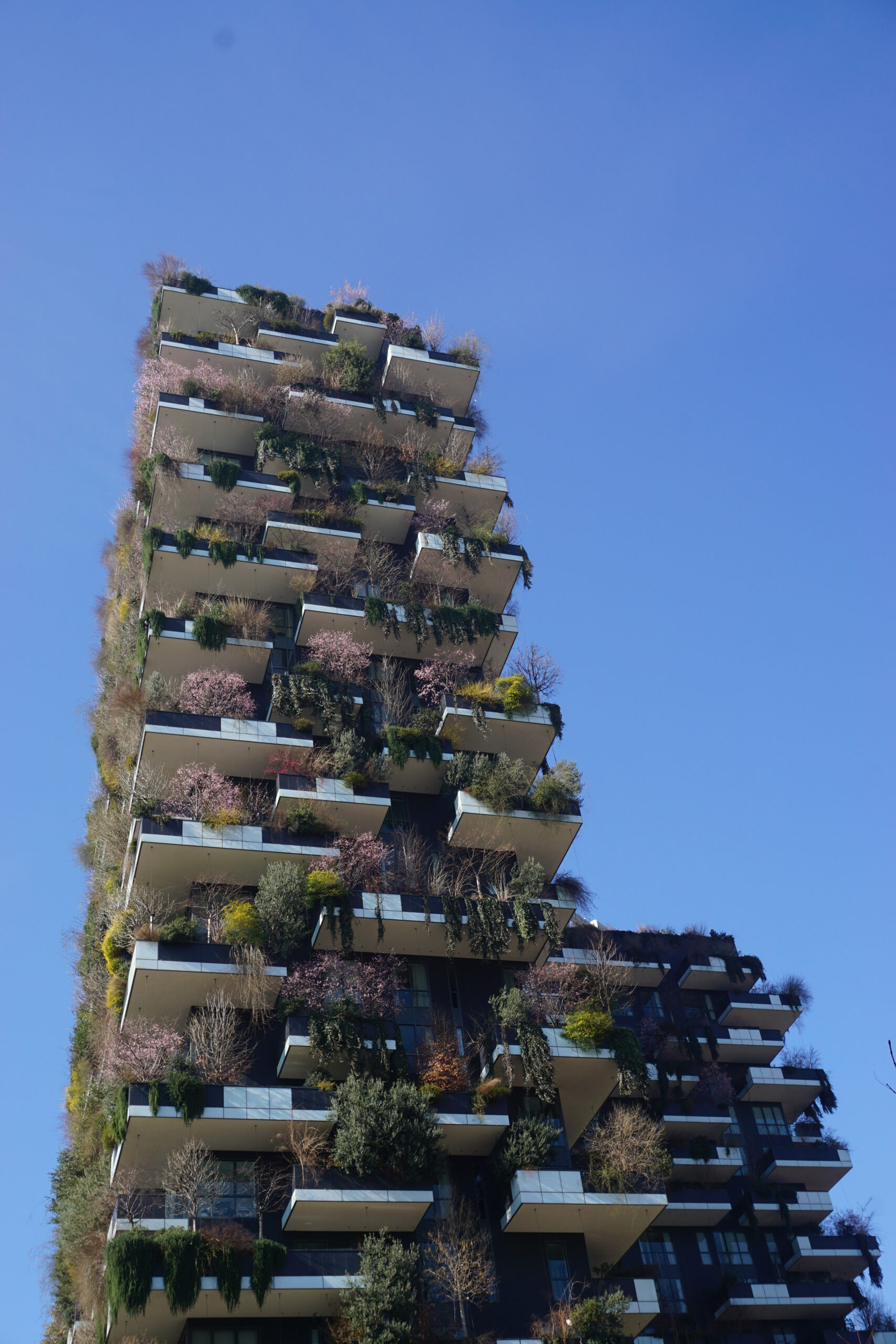 Bosco-Verticale-Foto-cCamilla-Dalla-Bona-Munchies
