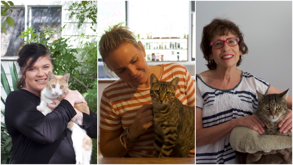 Cat Ladies μας Εξηγούν Γιατί οι Γάτες είναι Καλύτερες Από τους Άντρες