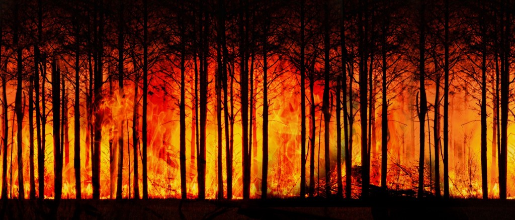 Nu e deloc uşor pentru muzicieni să vorbescă despre schimbările climatice