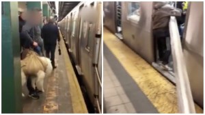 'VICE LIVE' watches wild NYC subway videos