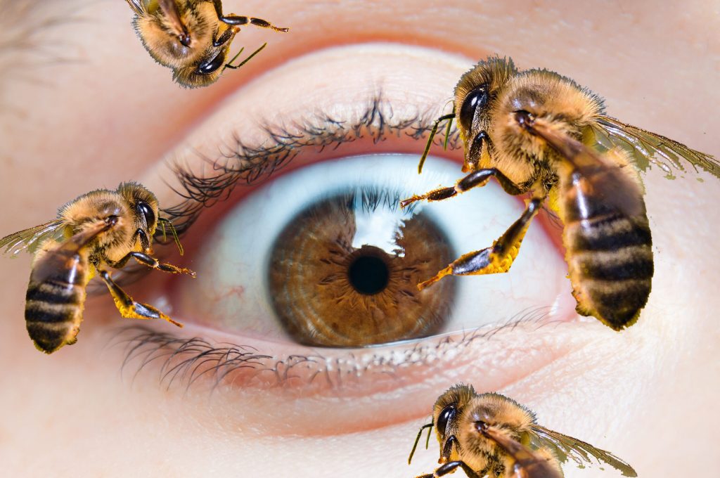 Der seltsame Fall der Frau, unter deren Augenlid vier Bienen lebten