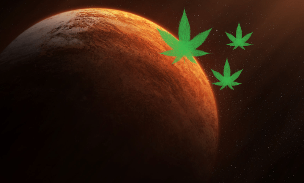 Como seria fumar maconha em Marte?