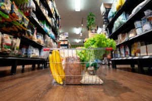 groceries basket aisle grocery store supermarket